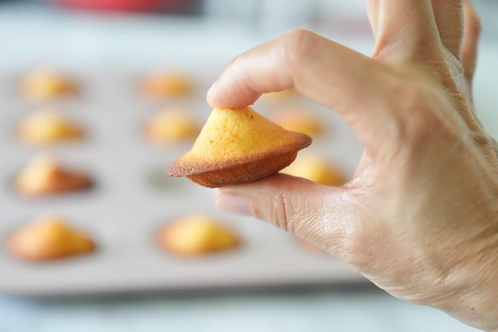 Madeleines